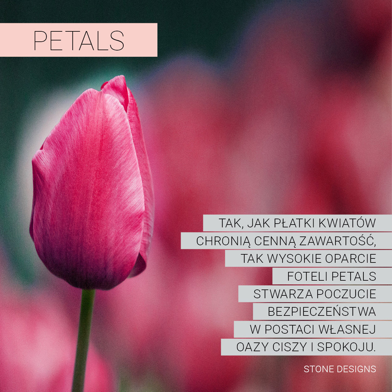 kinn_PETALS_FB_2500x1313_03_2_IG 1.jpg