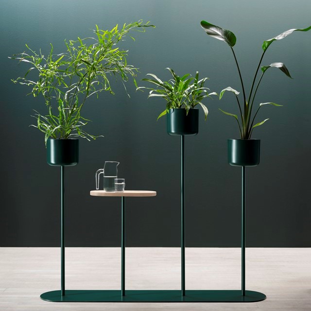 alle4_3pots_1table.jpg